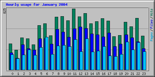 Hourly usage for January 2004